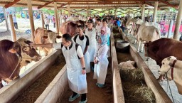 Pj. Gubernur Adhy Pastikan Jawa Timur Siap Sambut Hari Raya Idul Adha