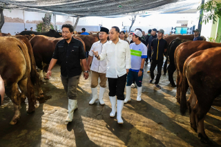 Hewan Kurban Masuk Surabaya Wajib Vaksin PMK dan Kantongi SKKH