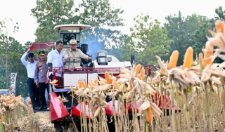 Prabowo Apresiasi Inovasi Briket Tongkol Jagung dan Pupuk Batu Bara di Tuban
