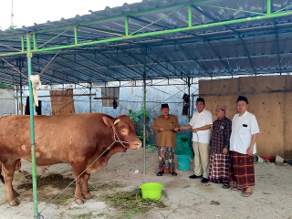 Budiono Gerindra Dampingi Penyerahan Sapi Kurban 1,2 Ton dari Prabowo di Pesantren Bojonegoro