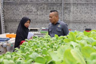 Cak Yebe Dorong Pengembangan Urban Farming Untuk Perkuat Ketahanan Pangan