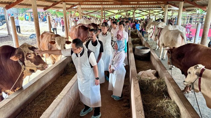 Pj. Gubernur Adhy Pastikan Jawa Timur Siap Sambut Hari Raya Idul Adha