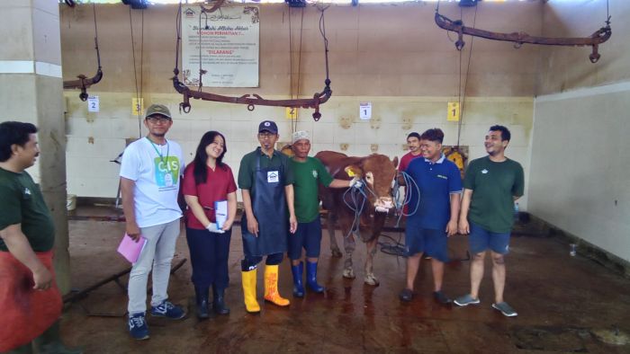 PDAM Surya Sembada Rayakan Idul Adha 1445 H Menyembelih 12 Ekor Sapi