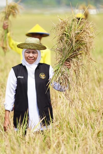 Di HKP 2024,Khofifah Apresiasi Insan Pertanian Jaga Ketahanan Pangan Masyarakat