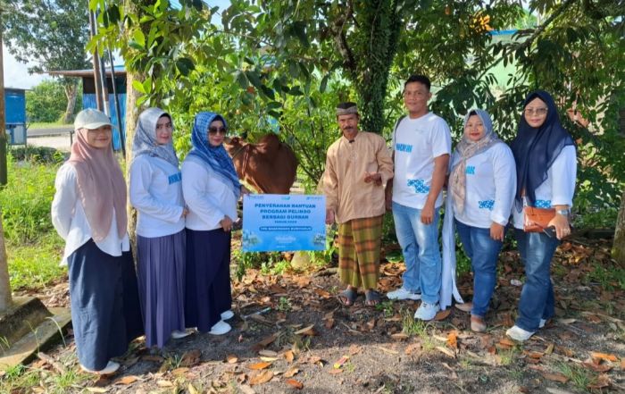 Hari Raya Idul Adha 1445 Hijriah, Pelindo Petikemas Salurkan 215 Hewan Kurban