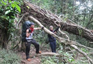 Pendakian di Gunung Argopuro