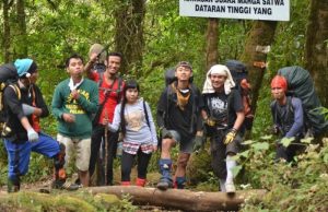 Pendakian di Gunung Argopuro
