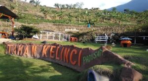Taman kelinci di Pacet, Mojokerto