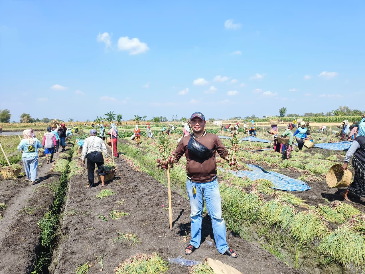 Petani bawang di Probolinggo tersenyum karena harga bawang meroket. (Foto: M Hidayatullah/Lingkaran.net)