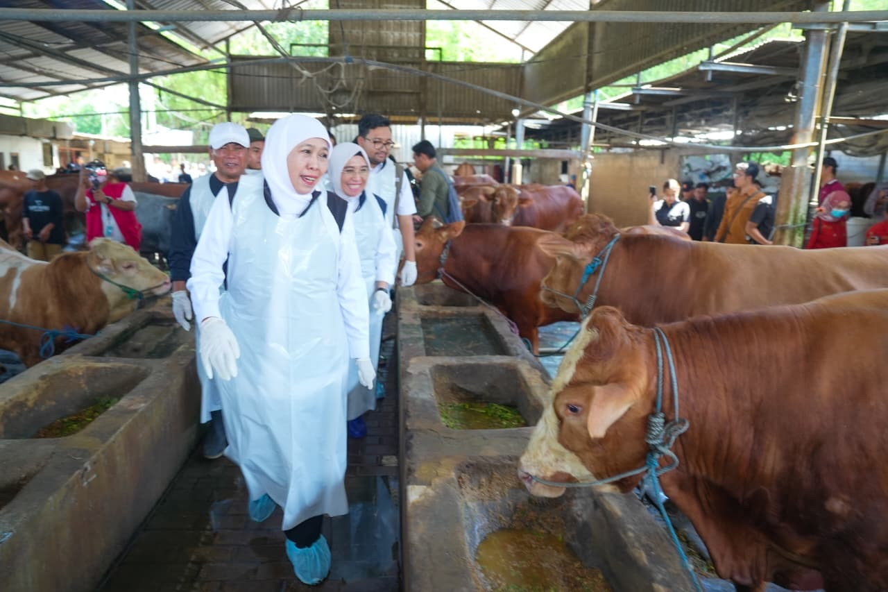 Stok Melimpah, Jatim Siap Suplai Hewan Kurban ke Seluruh Indonesia