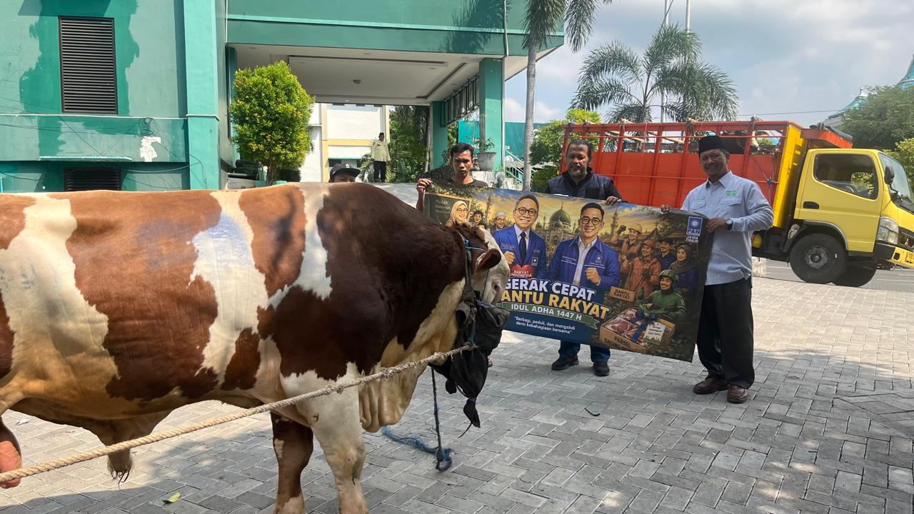 DPW PAN Jawa Timur menyerahkan sapi kurban kepada pengurus PWNU dan PWM Jawa Timur menjelang Hari Raya Iduladha 1447 Hijriah.