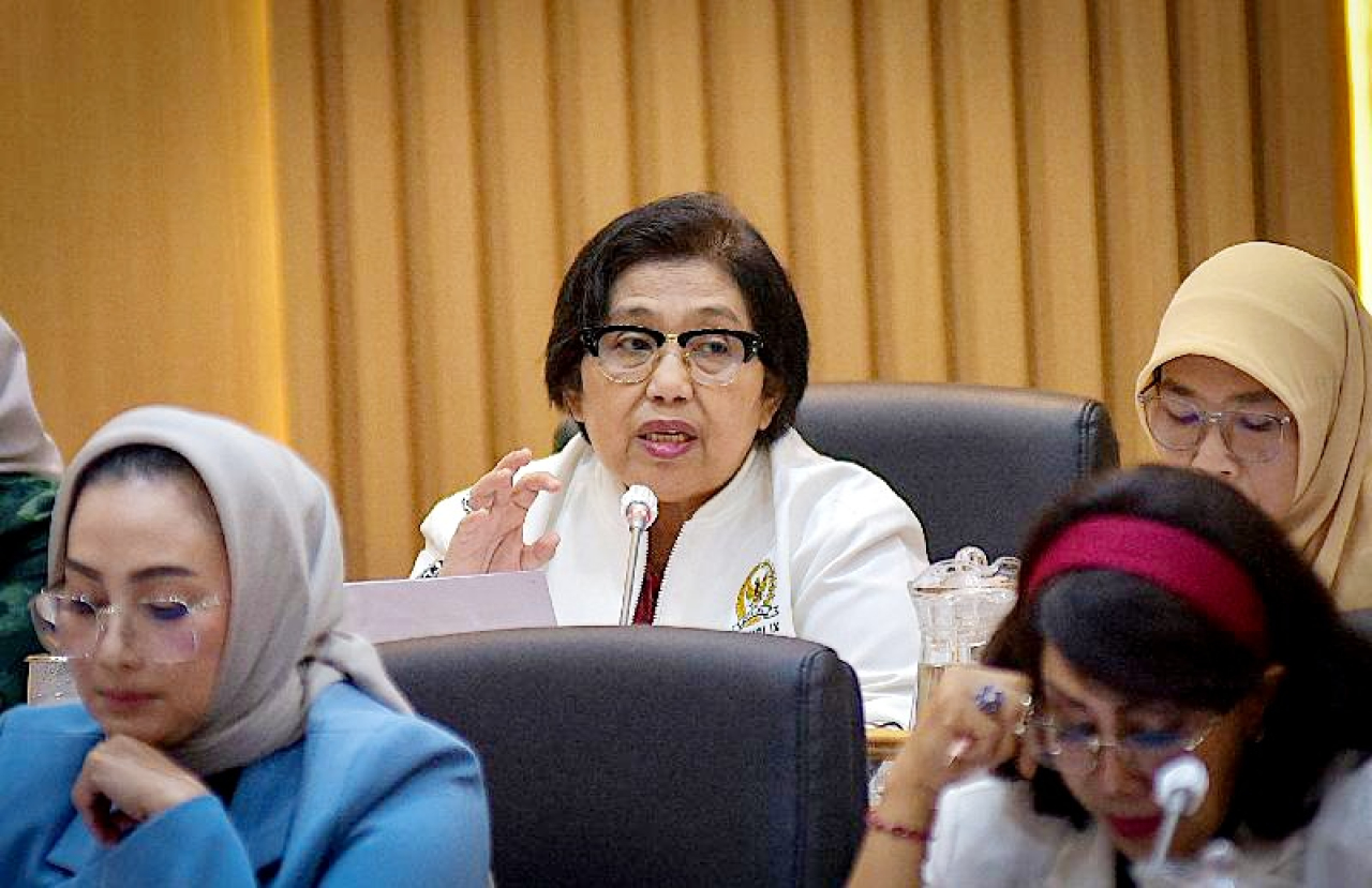 Anggota Komisi IX DPR RI, Irma Suryani Chaniago.
